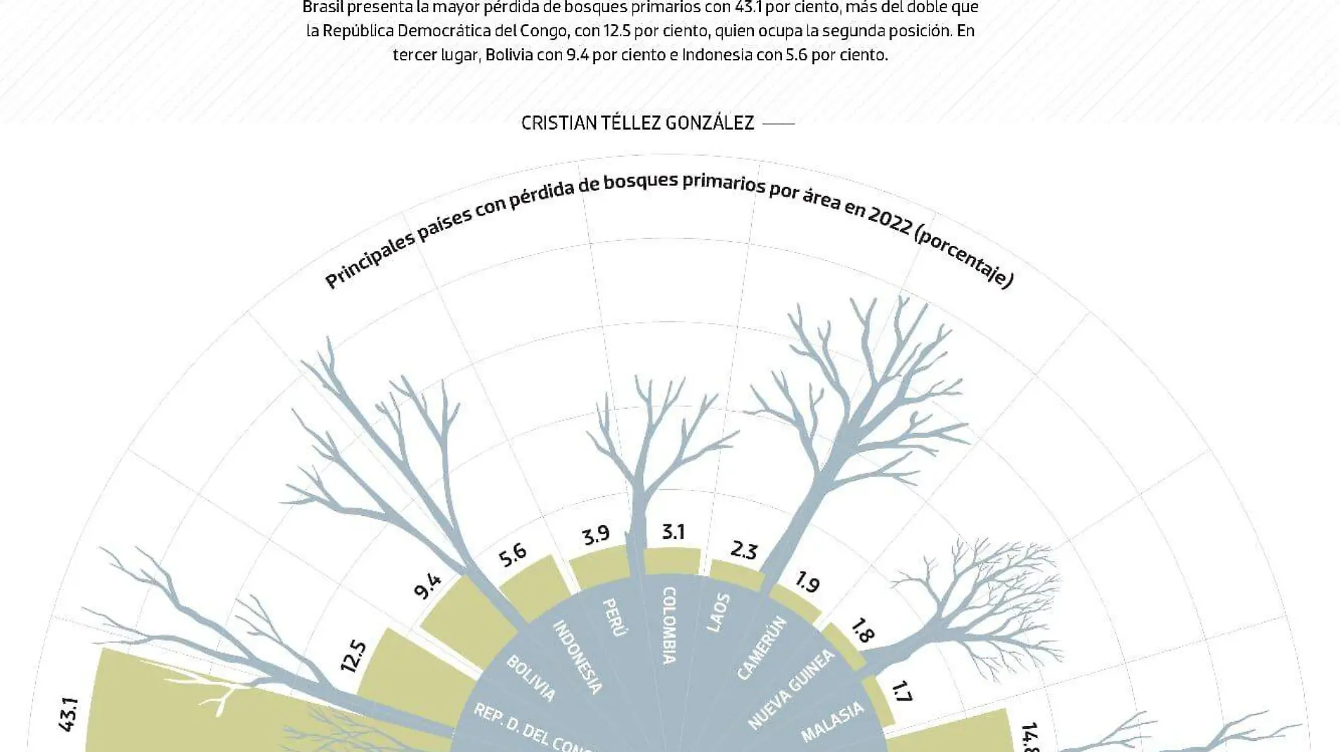 data bosques destruidos